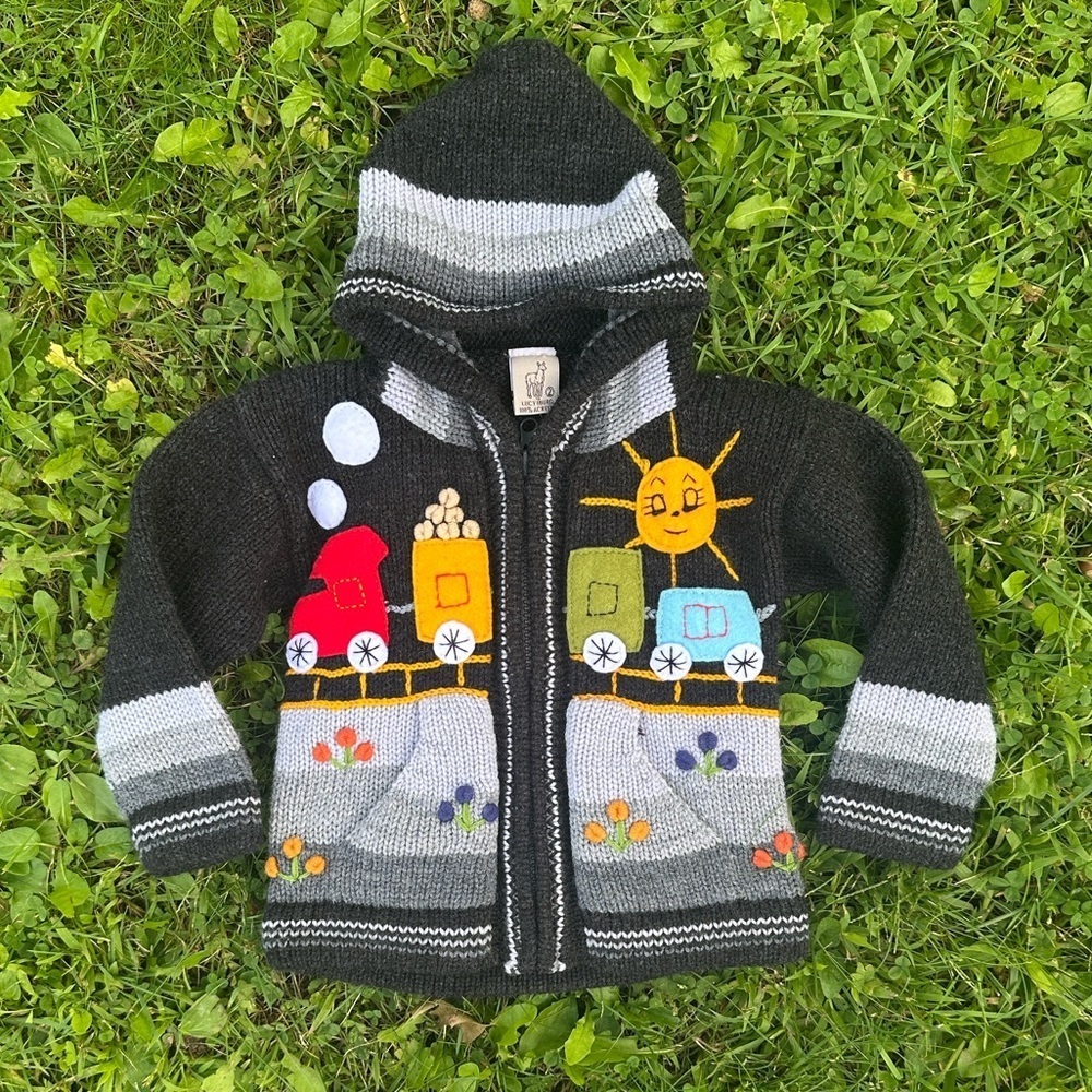 Lucy Iberg Handknit Toddler Boys Hooded Acrylic Cardigan Sweater Size 2 Cozy
